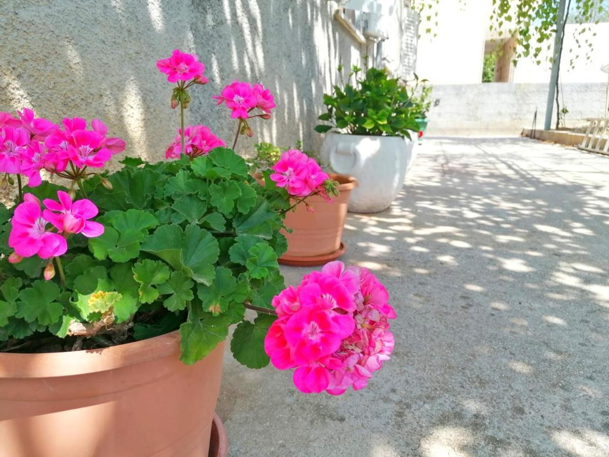 Putniković Holiday Home Blue Dream מראה חיצוני תמונה